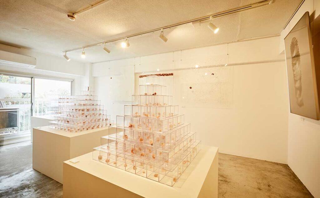 Gallery-en | 中島重久堂